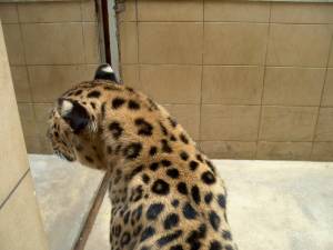 Zoo 00179