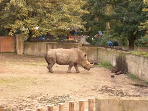 Zoo 00191