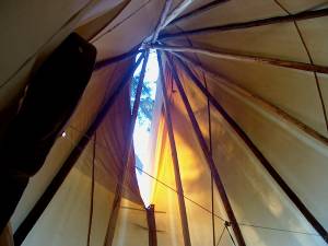 Peiho m tee pee 03728