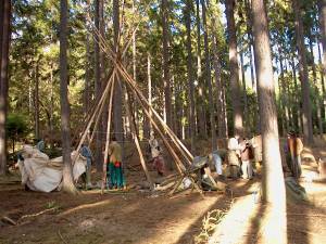 Peiho m tee pee 03742