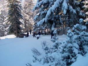 Smrovka 04271