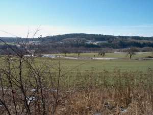 Prachovsk skly 07319