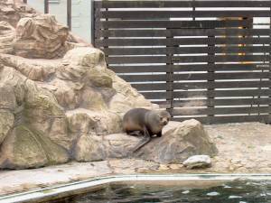 Zoo Praha 08051