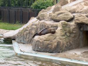 Zoo Praha 08052