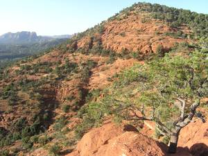 Montezuma castle a Sedona a090742