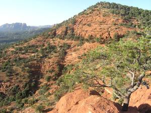 Montezuma castle a Sedona a090742