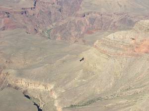 Grand Canyon a090816