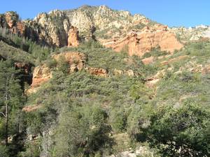 Oak Creek Canyon a090757