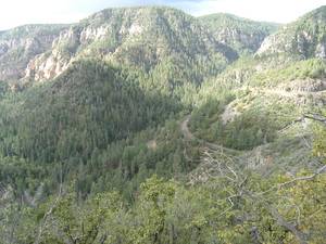 Oak Creek Canyon a090772