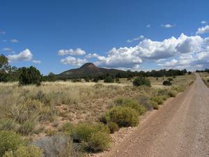 Oak Creek Canyon a090778