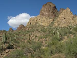 Jezera Canyon, Apache, Roosevelt a Tonto a150932