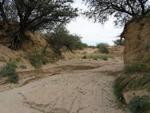 Tombstone a Collossal Cave a160978