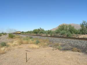 Sonora Desert Museum a231097