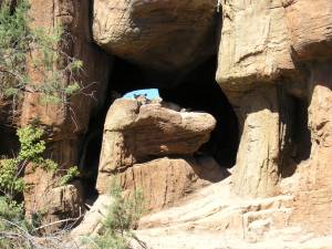 Sonora Desert Museum a231117