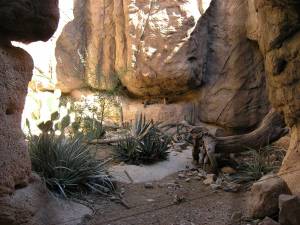 Sonora Desert Museum a231141