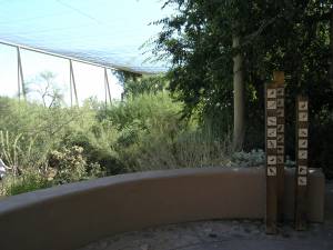 Sonora Desert Museum a231170