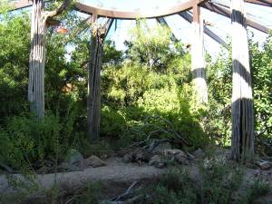 Sonora Desert Museum a231186