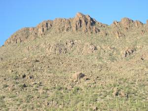 Sonora Desert Museum a231190