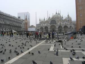 Bentky - Venezia b121489