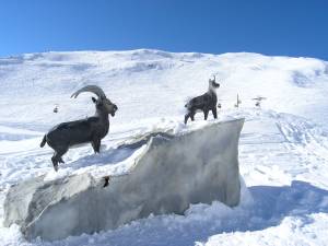 Lyovn v Alpch - Orcieres 1092102