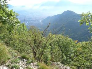 Grenoble 9294585