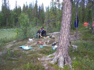Sarek 7066488a240