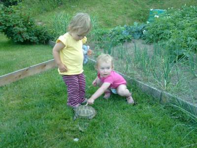 Vysocina 20100708_005