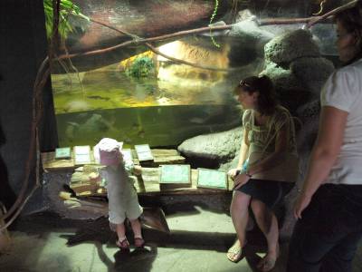 Zoo Praha 7288795