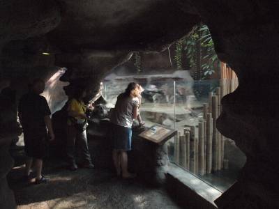 Zoo Praha 7288797