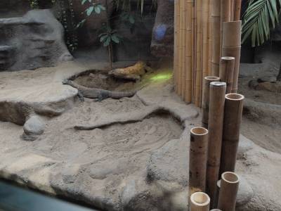 Zoo Praha 7288798