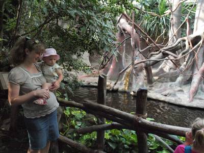 Zoo Praha 7288802
