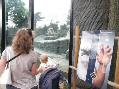 Zoo Praha 7288812