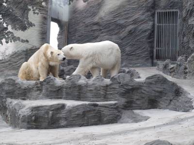 Zoo Praha 7288814