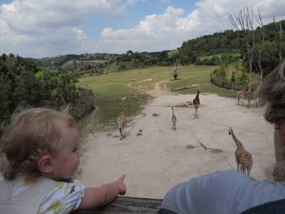 Zoo Praha 7288828