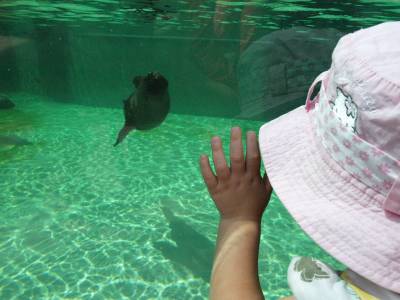 Zoo Praha 7288859