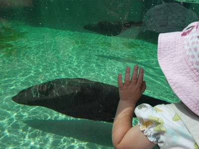 Zoo Praha 7288860