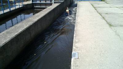 Vltava 20110822_014