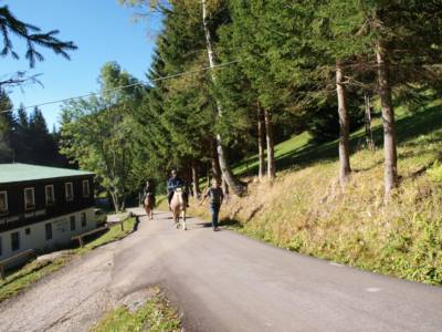 Mísečky 9306829