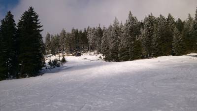 Kartoska dsc_4191
