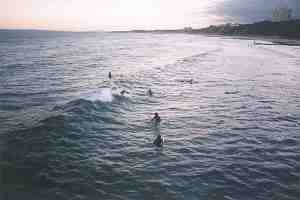 Surfers